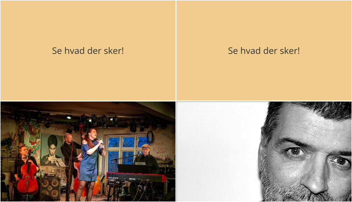 Oplevelser i Bindslev: Musikalske fortolkninger og kulinariske oplevelser