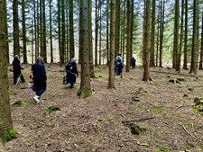 Oplev naturens detaljer gennem skovbadstur i Dragør