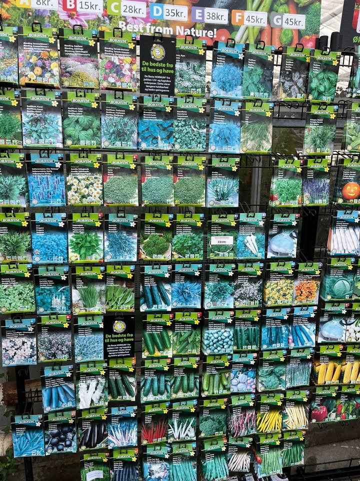 Opslagstavlen: Nyeste opdateringer fra Odder