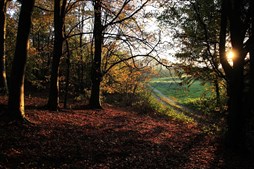 Gå med Diabetesforeningen & Aarstidens Kvinder