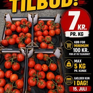 Opslagsbillede