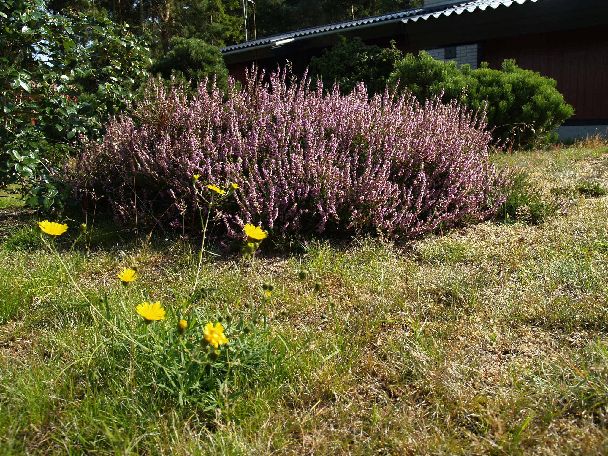 Foredrag om naturbevarelse og landliggernes rolle i Odsherred