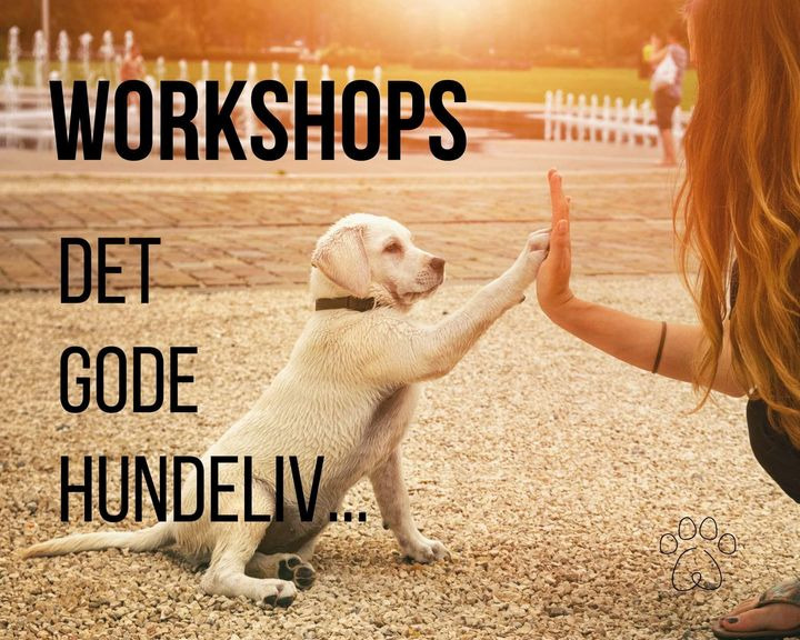 Hold dig ajour med dagens opdateringer fra Sæby