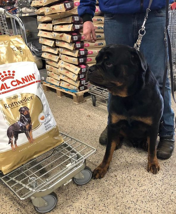 Opdatér dig her: Det nyeste fra Herning