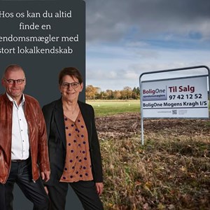 Opslagsbillede