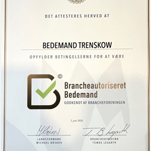 Opslagsbillede