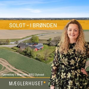 Opslagsbillede