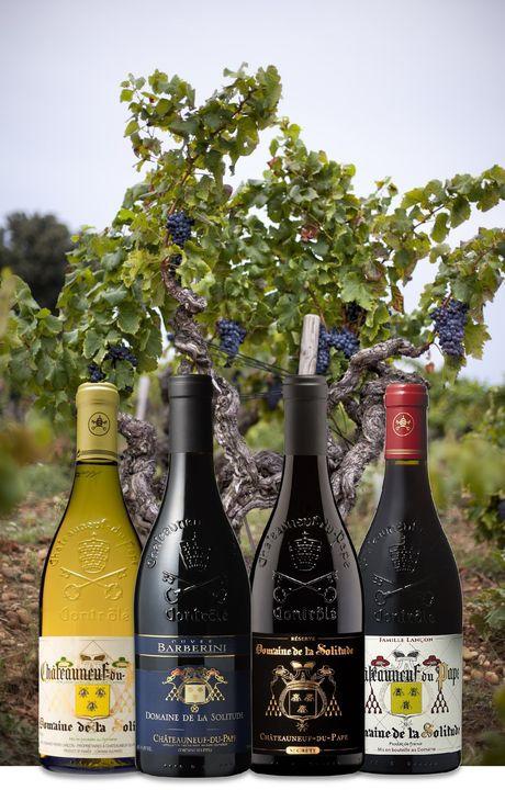 Hold trit med lokalområdet: Nyt fra Vejle