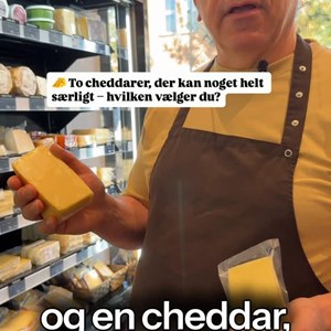 Opslagsbillede