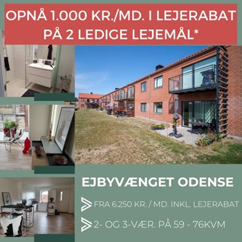Opslagsbillede