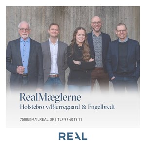 opslagsbillede