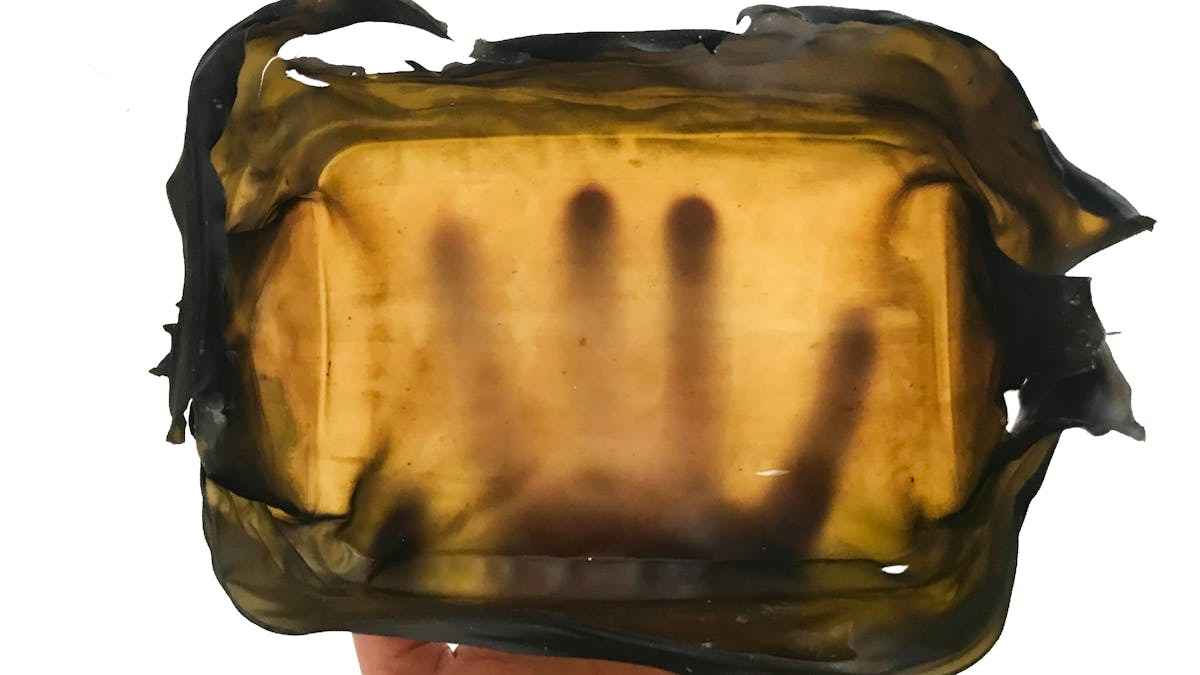 Oplev algernes verden og forårsfest på Havmøllen i Ebeltoft