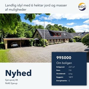Opslagsbillede