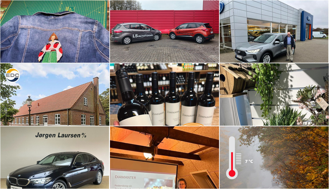 Nyt fra G.R. BILER, SKIVE A/S, LS AUTOTEKNIK ApS, Guldsmed Ø og 9 andre