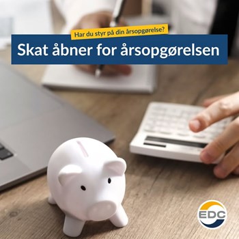 Opslagsbillede