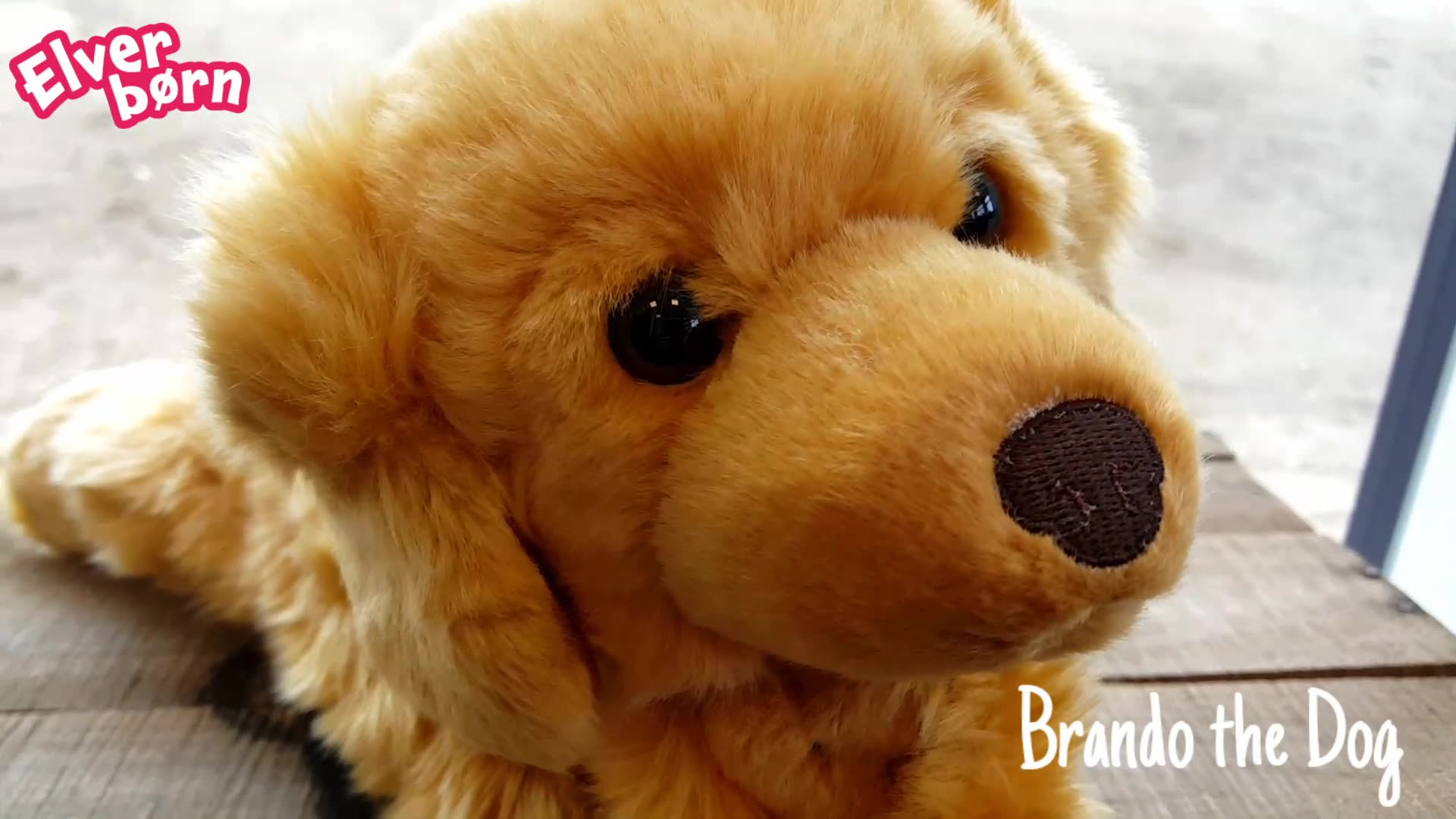 Opdatér dig her: Det nyeste fra Silkeborg