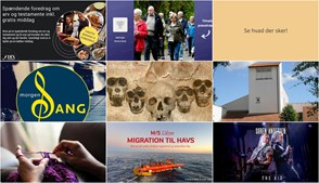 Ugentlige højdepunkter i Helsingør: Fra juridisk rådgivning til fællessang og livekoncerter