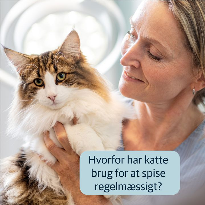 Se dagens updates fra Hjørring her