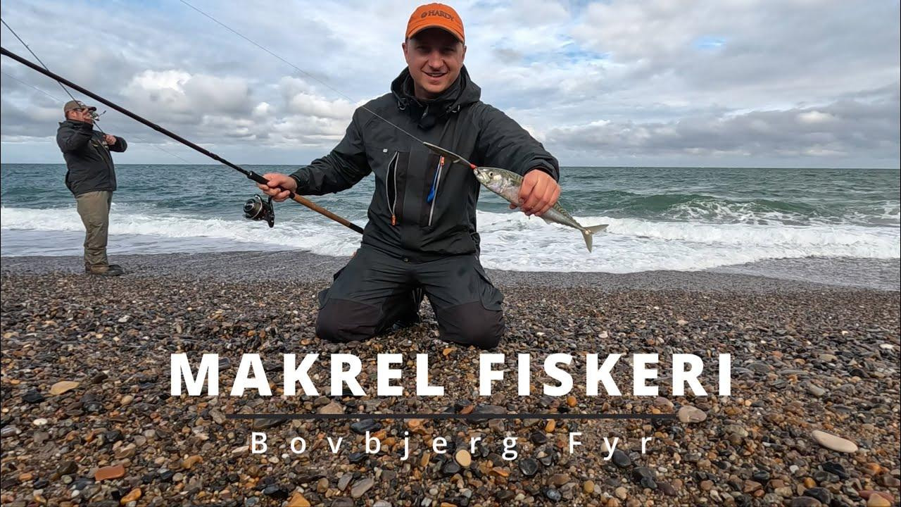 Opdatér dig her: Det nyeste fra Vejle