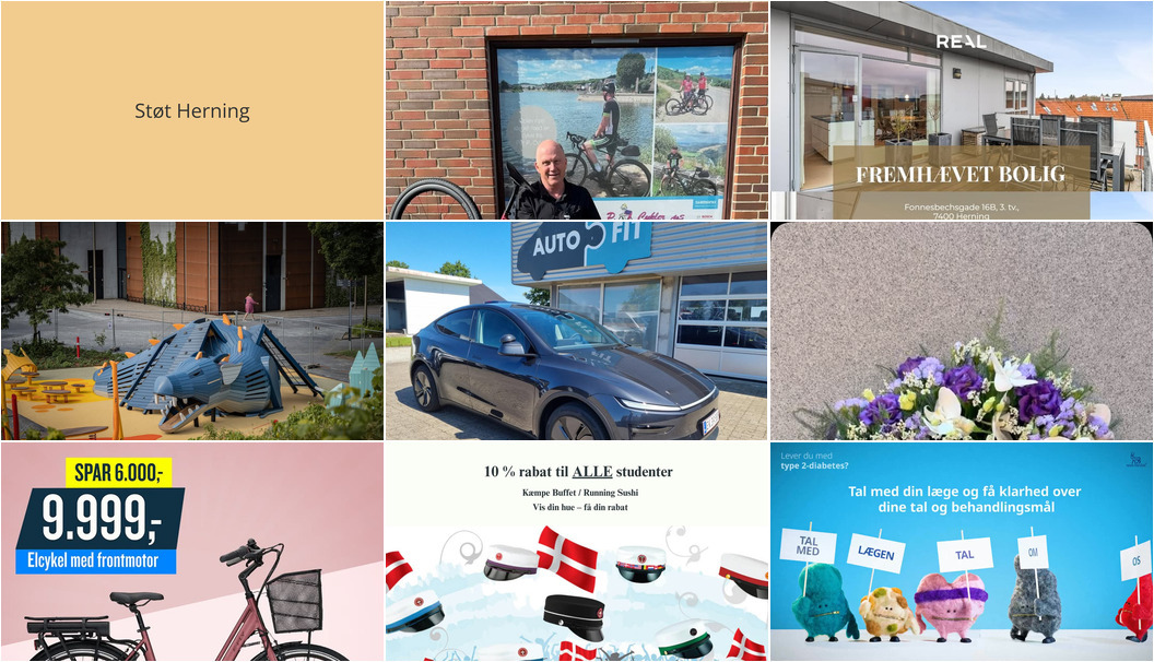 Nyt fra RealMæglerne Herning, Herning Løve Apotek, Museerne i Holstebro og 5 andre