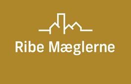 Støt lokalområdet - det gør Ribe Mæglerne!