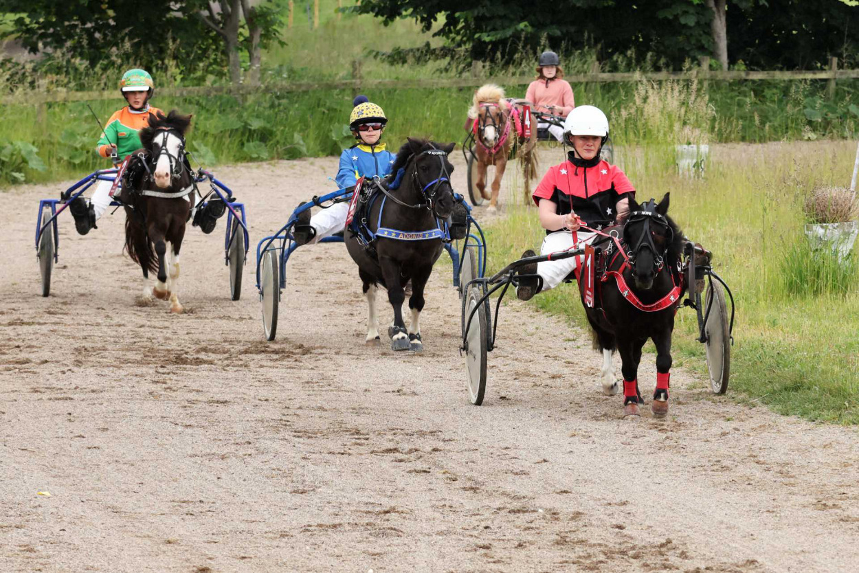 Fastriders på Sydsjællands Ponytravbane