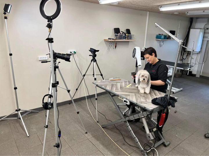 Se dagens updates fra Sæby her