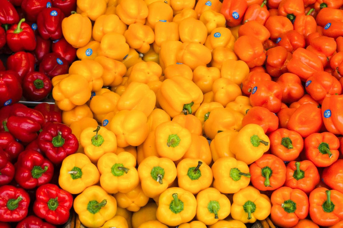 Fællesspisning og indsigt på Holberggaard