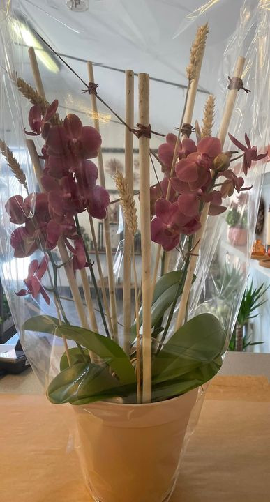 Opslagstavlen: Nyeste opdateringer fra Roslev