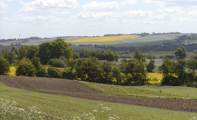 Grøn Trepart: Fremtidens landbrug i fokus i Skørping