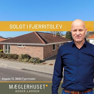 opslagsbillede