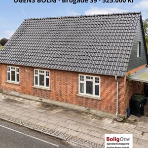 Opslagsbillede