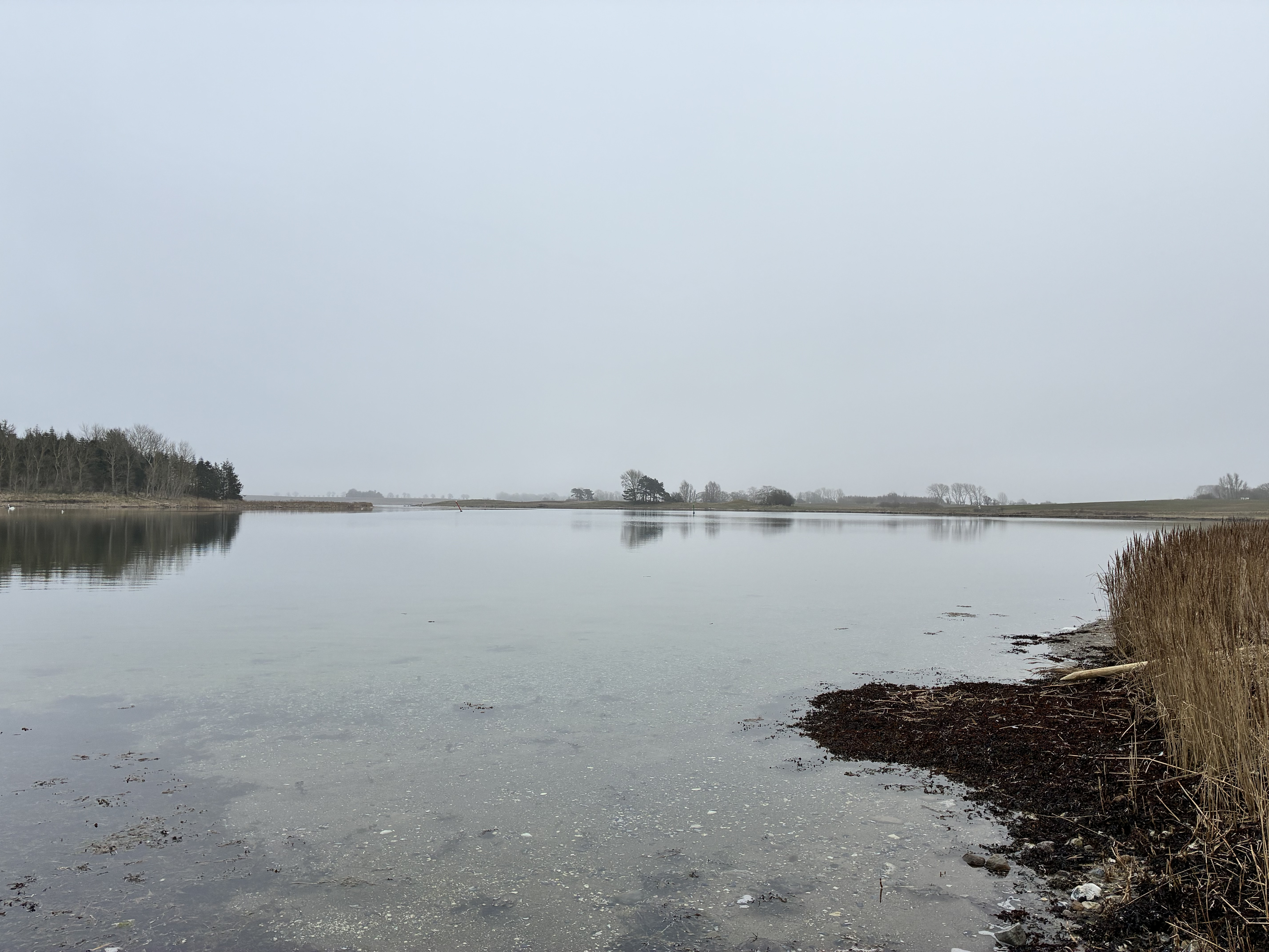 Slagelse Kommune vil redde naturen i Skælskør Fjord og inviterer borgere til at bidrage med lokal viden