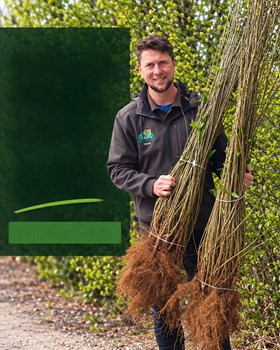 Opslagsbillede