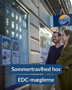 opslagsbillede