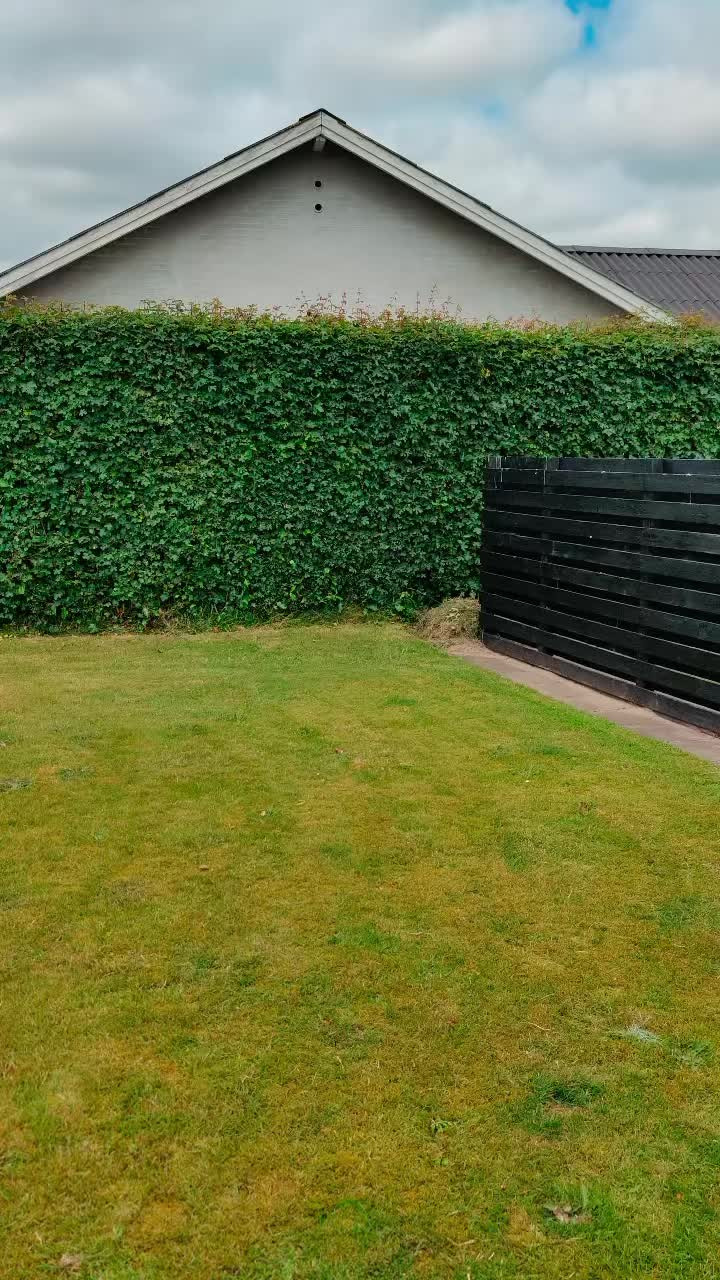 Det nyeste på Hals’ opslagstavle