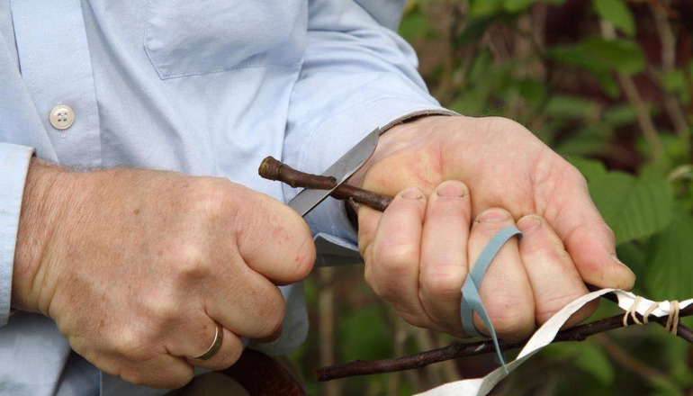 Lær at pode gamle æblesorter med Boi Jensen