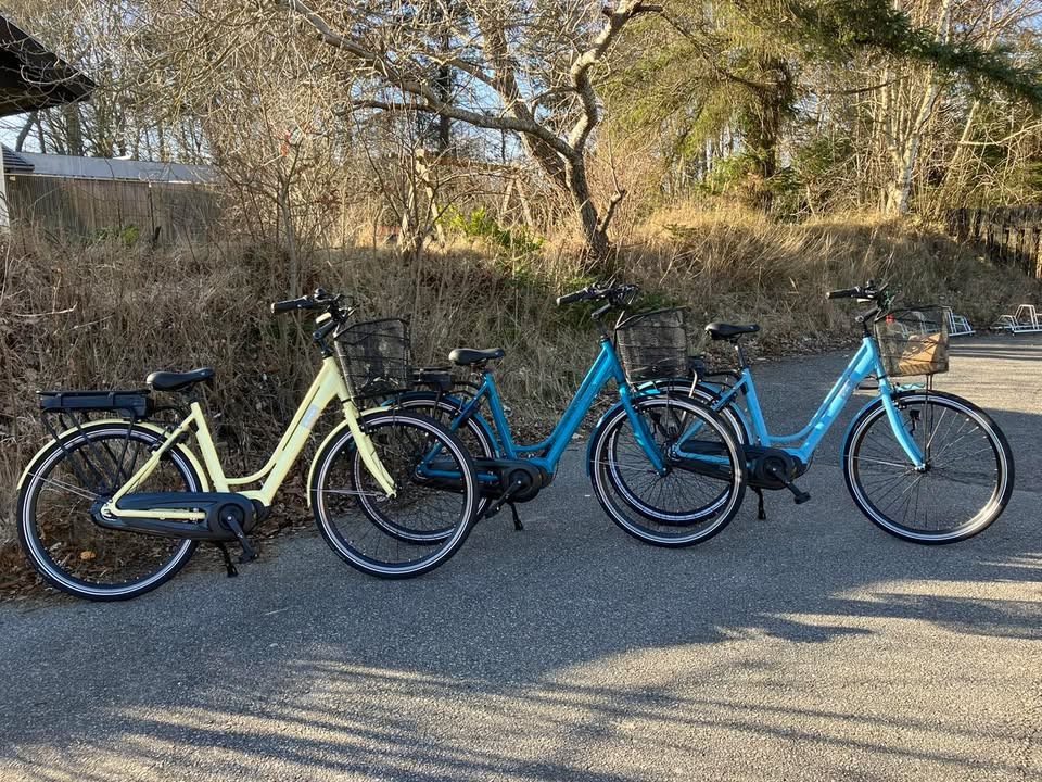 Sæby cykler: E-Fly Nova Max demo med center motor til skarp pris 