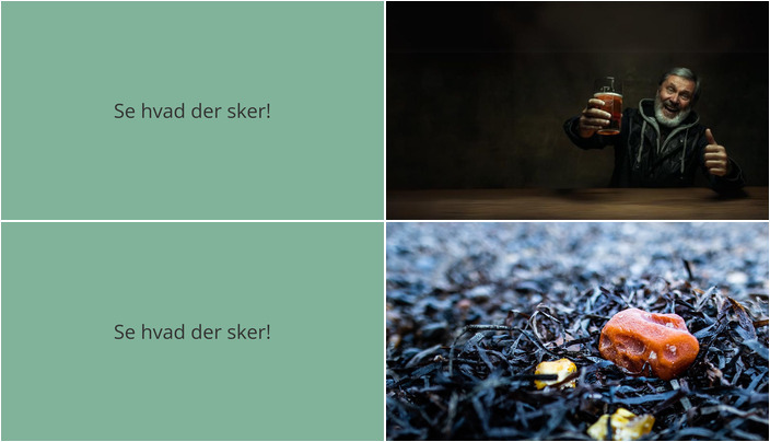 Spændende weekend i Hvide Sande: Quiz-aften og ravsafari