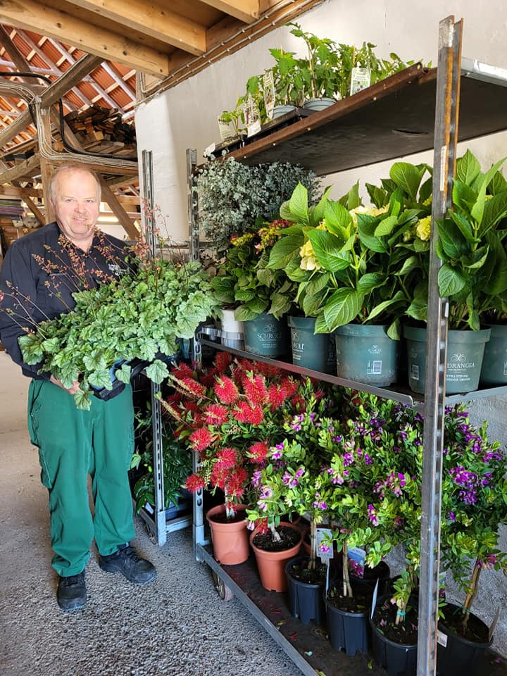 Det nyeste på Viborgs opslagstavle