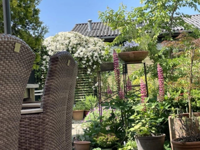 Tag med på en havevandring i Viborg