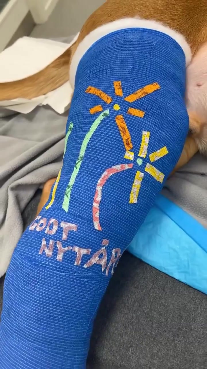 Se dagens updates fra Herning her