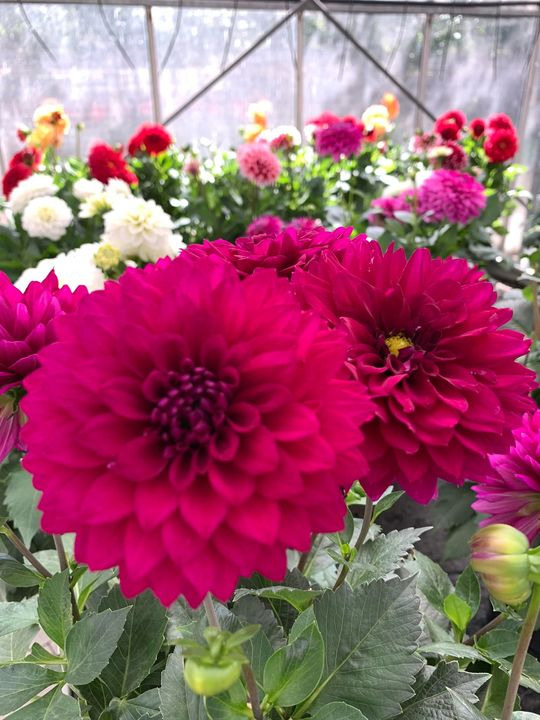 Hold trit med lokalområdet: Nyt fra Brønderslev