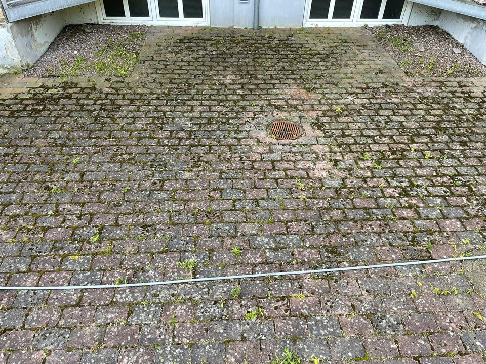 Opdatér dig her: Det nyeste fra Ikast