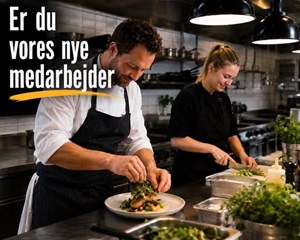 opslagsbillede