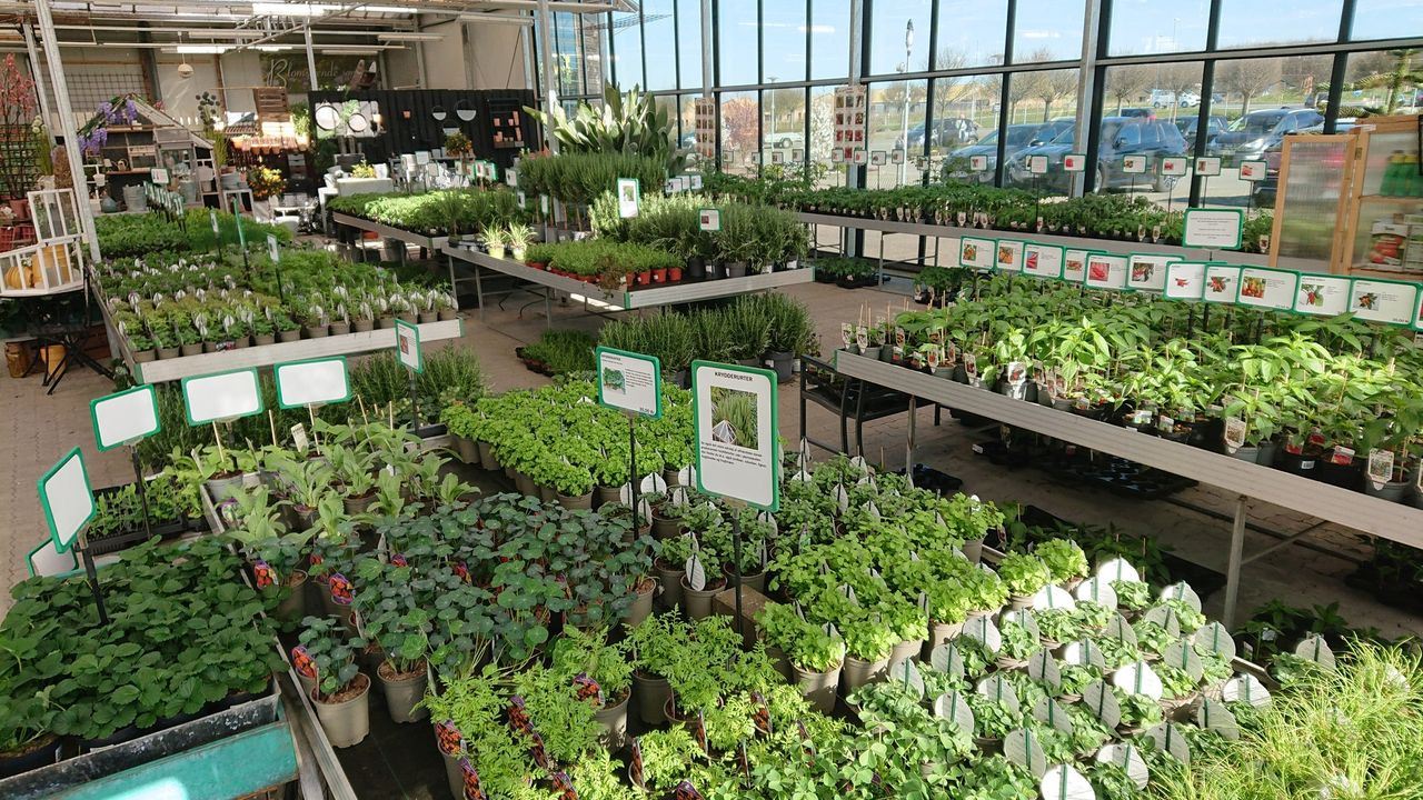 Det nyeste på Silkeborgs opslagstavle