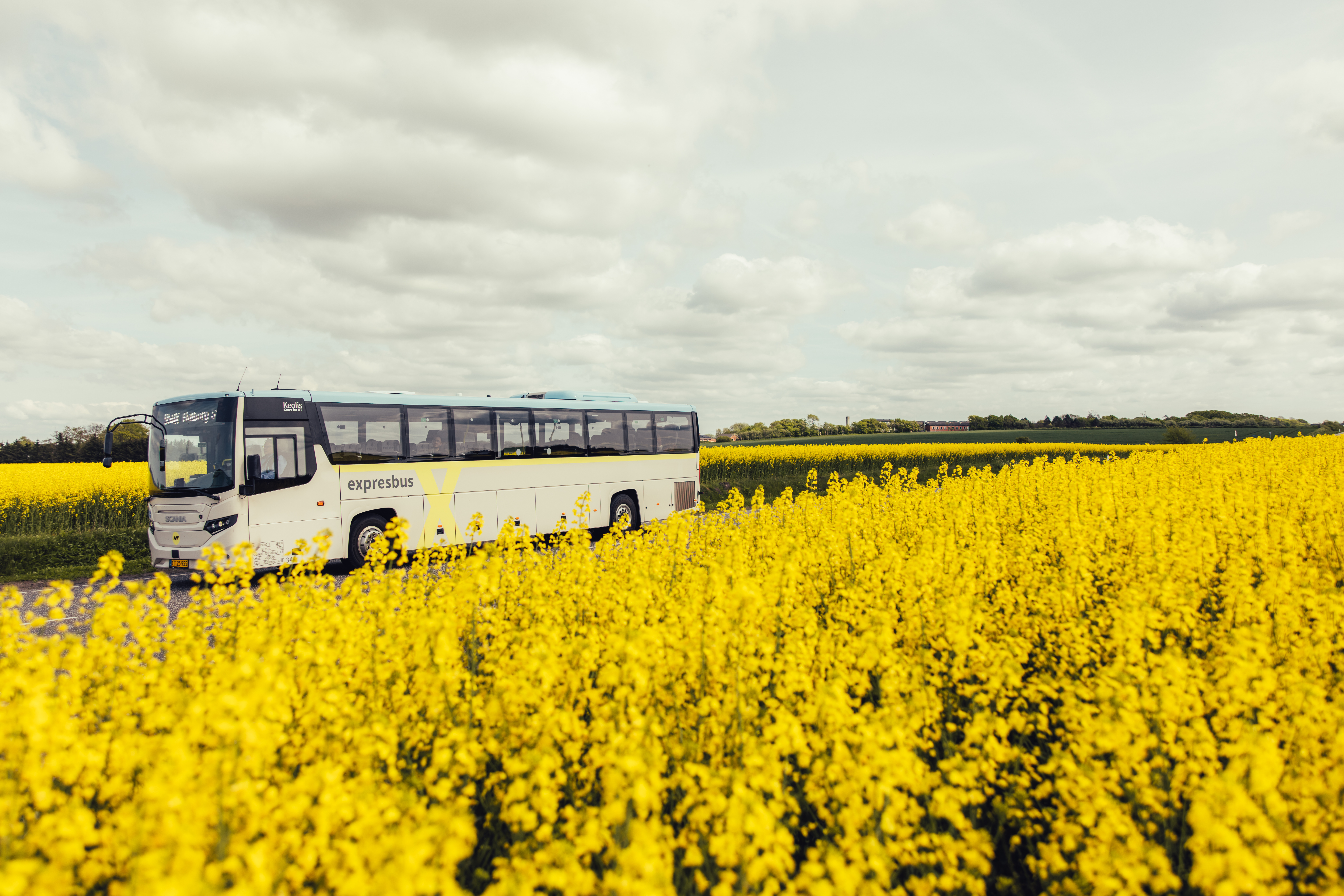 Ny køreplan: Flere expresbusser mellem Løgstør og Aalborg 