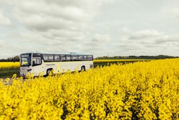 Ny køreplan: Flere expresbusser mellem Løgstør og Aalborg