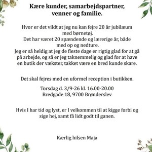 Opslagsbillede