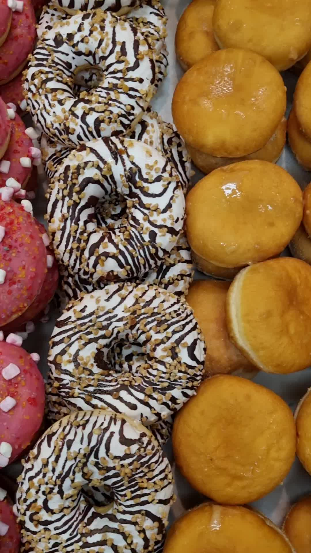 Opslagstavlen: Nyeste opdateringer fra Odder